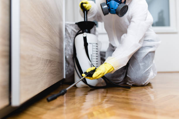 Insect Control in Hidden Springs, ID