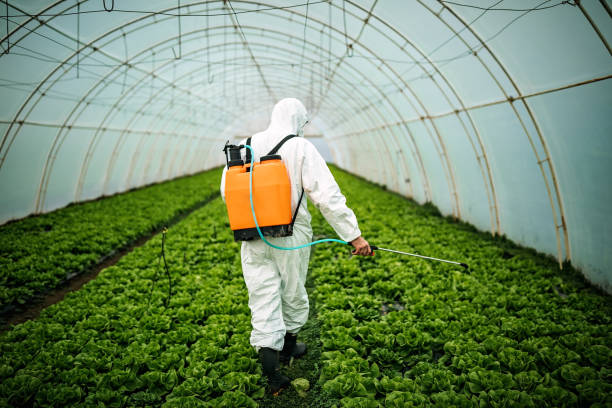 Best Pest Control Cost  in Hden Springs, ID