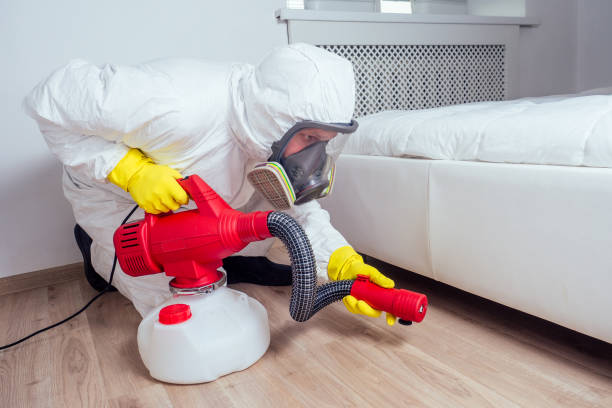 Trusted Hidden Springs, ID Pest Control Experts