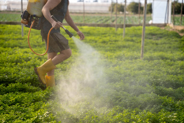 Best Affordable Pest Control Services  in Hden Springs, ID