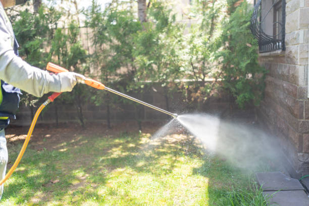 Best Emergency Pest Control  in Hden Springs, ID