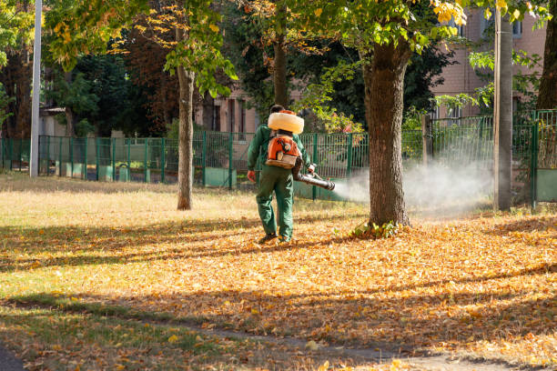 Best Pest Removal Services  in Hden Springs, ID