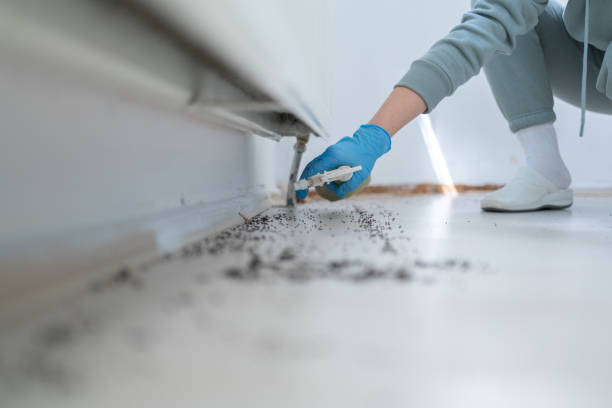 Pest Prevention Services in Hidden Springs, ID
